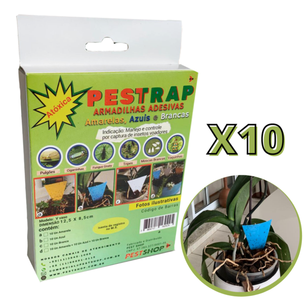 Pestrap Azul Pega Fungus Gnats Mod V Vaso 12,5x8,5 10 Un