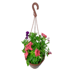 Petúnia Multiflor Cuia 21