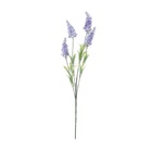 Pick Com 5 Galhos Lilás De Lavanda 47 Cm