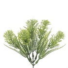 Pick Com 6 Galhos De Alecrim 24 Cm