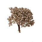 PICK FRUTAS NUDE 12CM