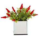 Pimenta Vaso Espelhado 6cm