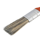 Pincel Médio 3/4'' Tigre