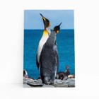 Pinguins Animais Oceano Mar Paisagem Quadro Canvas 60x40cm