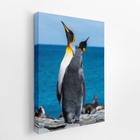 Pinguins Animais Oceano Mar Paisagem Quadro Canvas 60x40cm