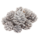 Pinhas Decorativas Fibra Natural Branco e Marrom 8cm Cromus