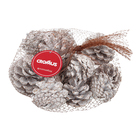 Pinhas Decorativas Fibra Natural Branco e Marrom 8cm Cromus