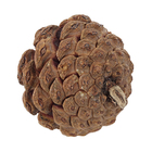 Pinhas Decorativas Fibra Natural Marrom 8cm