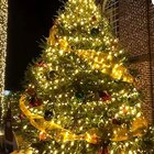 Pisca Cordão Solar Natal 100 Lâmpadas Led Luz Amarelo De 10m