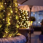 Pisca Pisca 15 Leds 2m Pilha Branco Quente