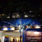 Pisca Pisca 600 Leds Cordão Colorido Rgb Natal 50m 220v