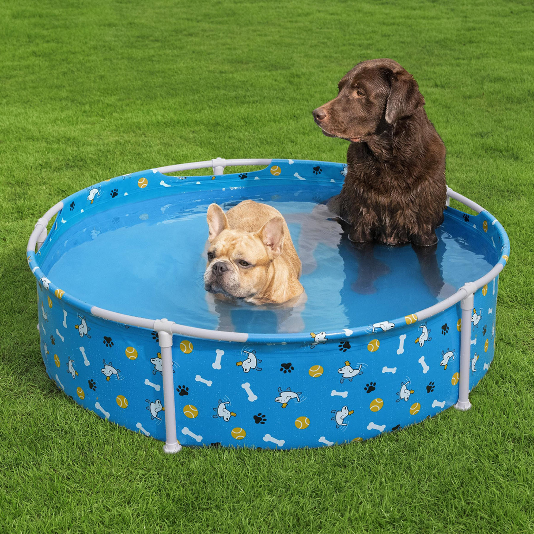 Piscina Para Cachorro Fun Pet 292L Bestway