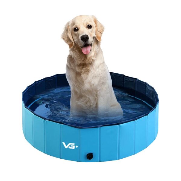 Piscina Para Cachorro Pets Dobrável Lisa Azul  120 Cm X 30 Cm
