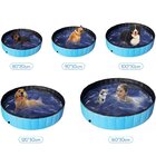 Piscina Para Pets 120x30cm Meu Pet