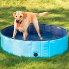 Piscina Para Pets 120x30cm Meu Pet