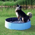 Piscina Para Pets 120x30cm Meu Pet