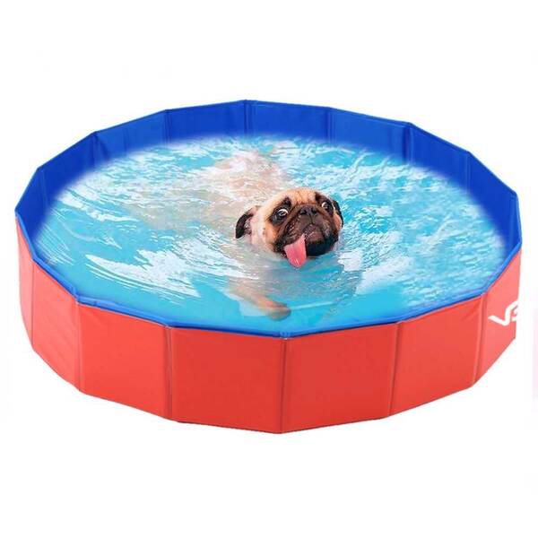 Piscina Para Pets Animais De Estimação 80 Cm X 20 Cm Vg+ Verm