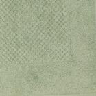 Piso Buddemeyer Luxor Verde 3036 48cm X 80cm