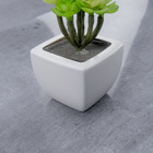 Piso Vinílico Adesivo Em Régua (concreto)