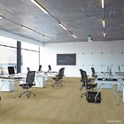 Piso Vinílico Espaçofloor Cola Office Mild Carvalho Turim Cai