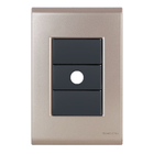 Placa 1 Saída De Fio 4x2 - Tramontina Liz Ouro Velho / Preto