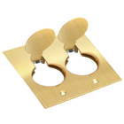 Placa 2 Módulos Para Piso 4x4 – Latão – Tpl013