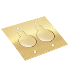 Placa 2 Módulos Para Piso 4x4 – Latão – Tpl013