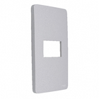 Placa 4X2 1 Módulo Gamma Silver Orion Schneider