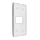 Placa 4X2 1 Módulo Gamma Silver Orion Schneider