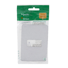 Placa 4X2 1 Módulo Gamma Silver Orion Schneider