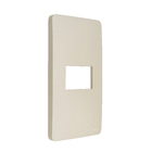 Placa 4X2 1 Módulo Horizon Gold Orion Schneider