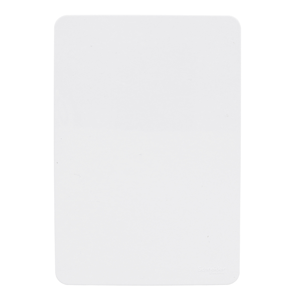 Placa 4X2 Cega Branca Orion Schneider