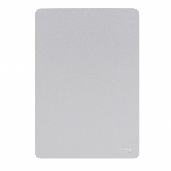 Placa 4X2 Cega Gamma Silver Orion Schneider