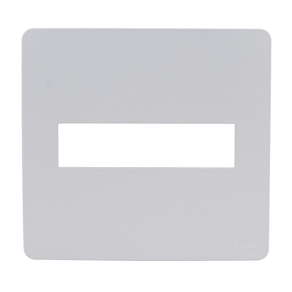 Placa 4X4 2 Módulos Gamma Silver Orion Schneider