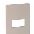 Placa Acabamento 4x2 1 Posto Horizontal Bege Orion Schneider