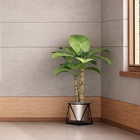 Placa Cimentícia 1,20mx2,40mx6mm Brasilit