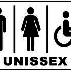 Placa De Banheiro Unissex E Cadeirante Sanitário Ps 20x15cm