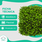 Placa De Buchinho 50x50 Misto Com Proteção Uv - Grama Artific