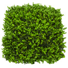 Placa De Buchinho 50x50 Misto Com Proteção Uv - Grama Artific