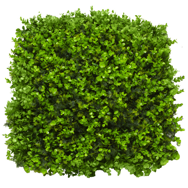 Placa De Buchinho 50x50 Misto Com Proteção Uv - Grama Artific