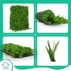 Placa De Buchinho 60x40 Tipo Floresta - Grama Artificial Para