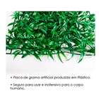 Placa De Buchinho Grama Artificial 40x60cm