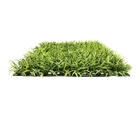 Placa De Capim Alto Verde Claro 60 Cm X 40 Cm