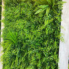 Placa De Painel Verde Amazônia