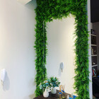 Placa De Painel Verde Amazônia