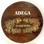 Placa Decorativa Adega De Parede Em Fibra - In Vino