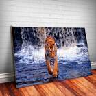 Placa Decorativa Animais 05 Tigre Caminhando Mdf 30x45cm