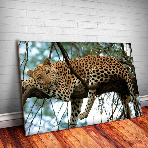 Placa Decorativa Animais 09 Onça Pintada Mdf 30x45cm