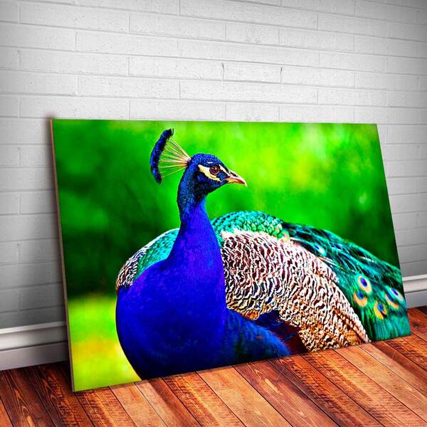 Placa Decorativa Animais 24 Pavão Mdf 30x45cm