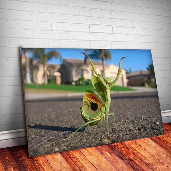 Placa Decorativa Animais 27 Gafanhoto Mdf 20x30cm